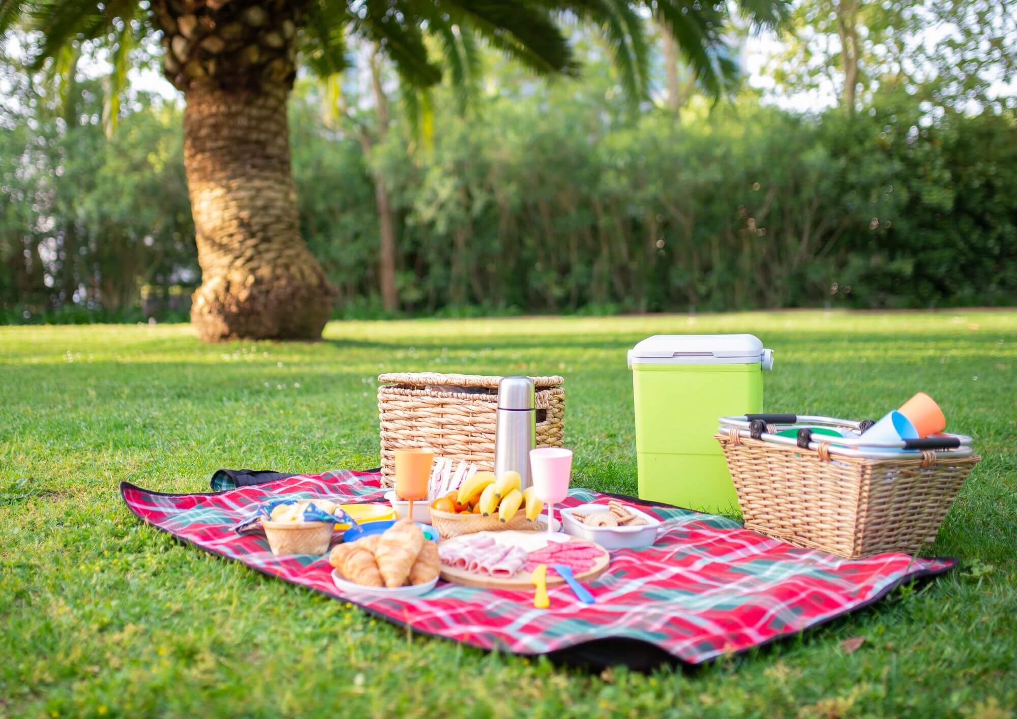 רעיונות לפיקניק